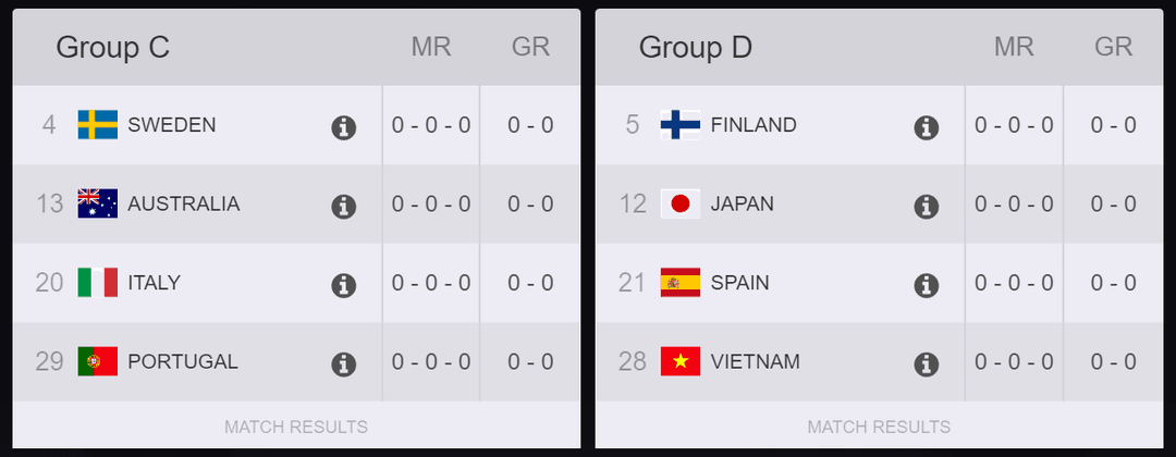 Overwtch World Cup22