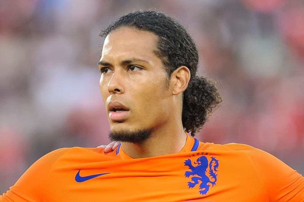 Tundra van Dijk