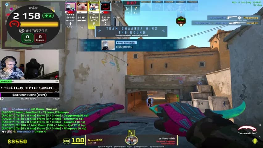 nestazzz