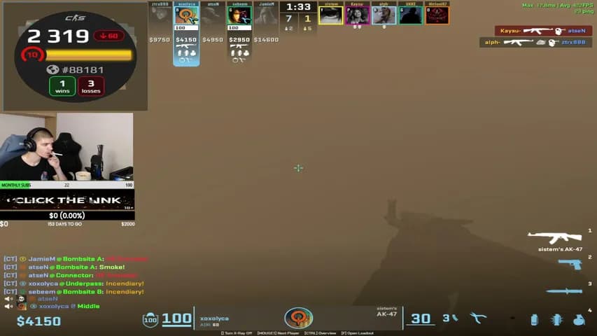 nestazzz